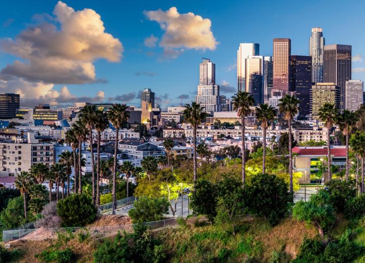 Golf course redevelopment, Venice Dell fight, and more